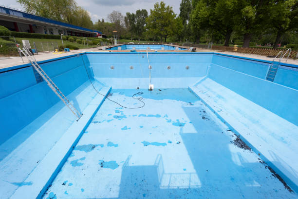 Best Flood damage cleanup  in Fabens, TX