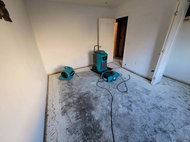 Best Sewage cleanup and water damage restoration  in Fabens, TX