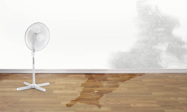  Fabens, TX Water damage restoration Pros
