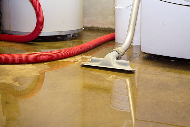 Best 24/7 water damage repair  in Fabens, TX