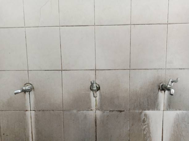 Best Water damage restoration services  in Fabens, TX