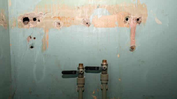 Best Commercial water damage restoration  in Fabens, TX