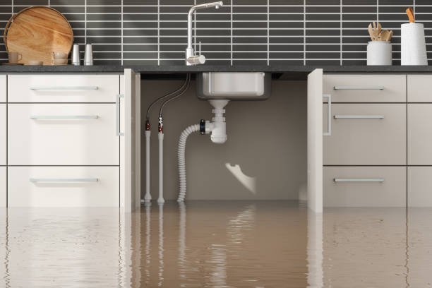 Best Mold removal after water damage  in Fabens, TX